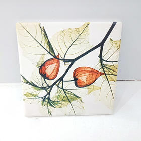 森活sovo叶脉杯垫-方014