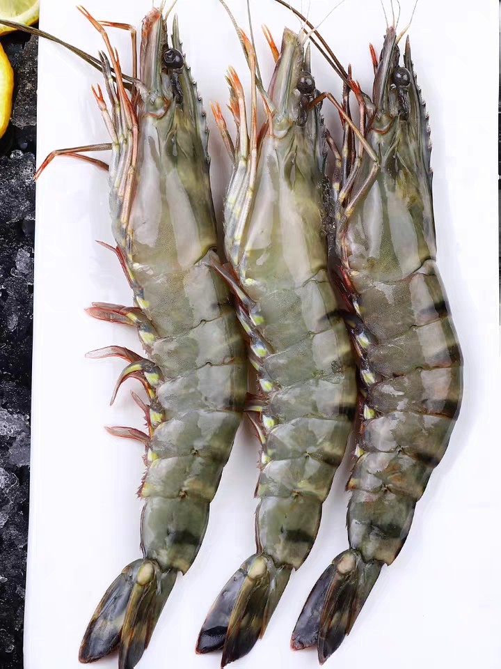 【野生特大黑虎虾】一份250克(4-5只)纯野生黑虎虾速冻锁鲜,肉质q弹