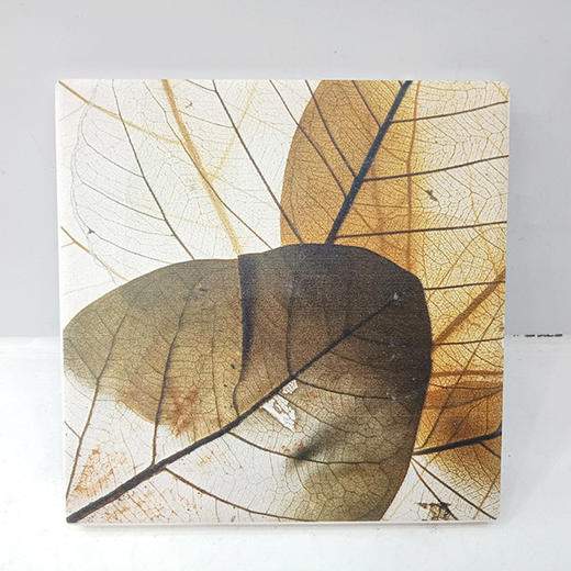 森活sovo叶脉杯垫-方007 商品图0