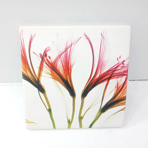 森活sovo叶脉杯垫-方013 商品图0