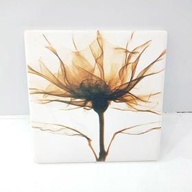 森活sovo叶脉杯垫-方012