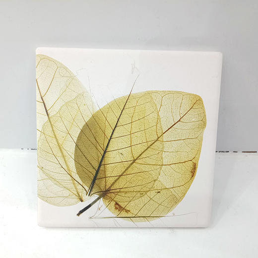 森活sovo叶脉杯垫-方006 商品图0