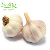 心家蔬菜 蒜头300g  商品缩略图0