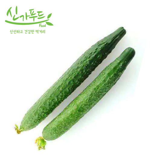 心家蔬菜 青瓜1P  商品图0