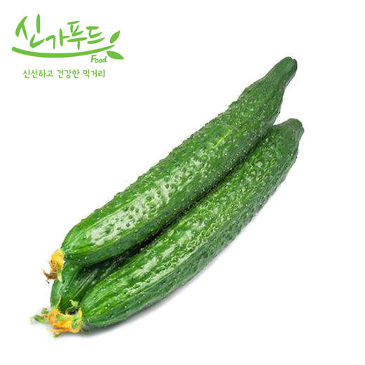 心家蔬菜 青瓜1P  商品图2