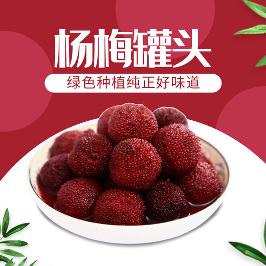 好C冠 杨梅罐头 425g/罐 商品图1