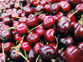 教你如何识别出葡萄酒的香气