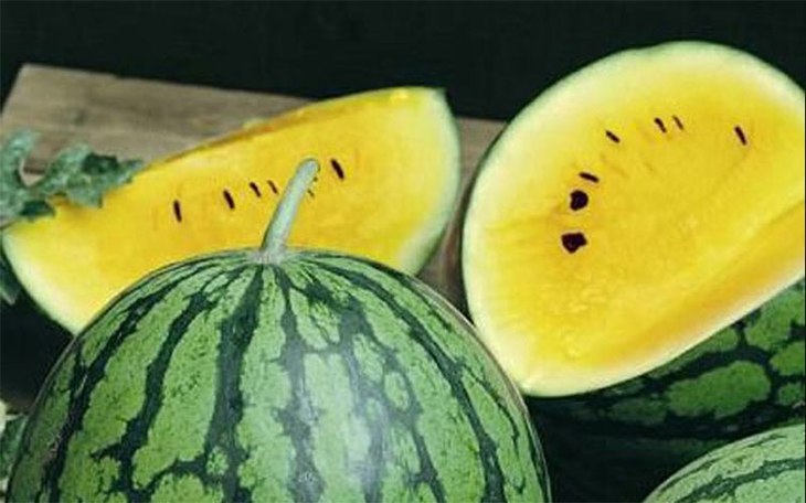 【薄皮黄瓤水润西瓜】江氏特小凤西瓜约17-18斤6头每箱