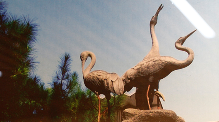 12. 梧州茶厂六堡茶商标变迁概况