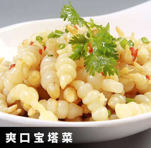 （洪湖）洪湖农家宝塔菜400g(20袋/件） 商品图3