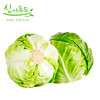 心家蔬菜 京包菜1P 商品缩略图0