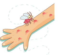 春夏季节宝宝被蚊虫叮咬，皮肤红肿怎么办