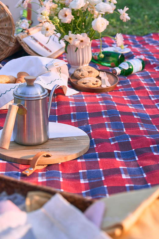 野餐垫户外地垫防潮垫经典几何图形野餐垫 商品图2