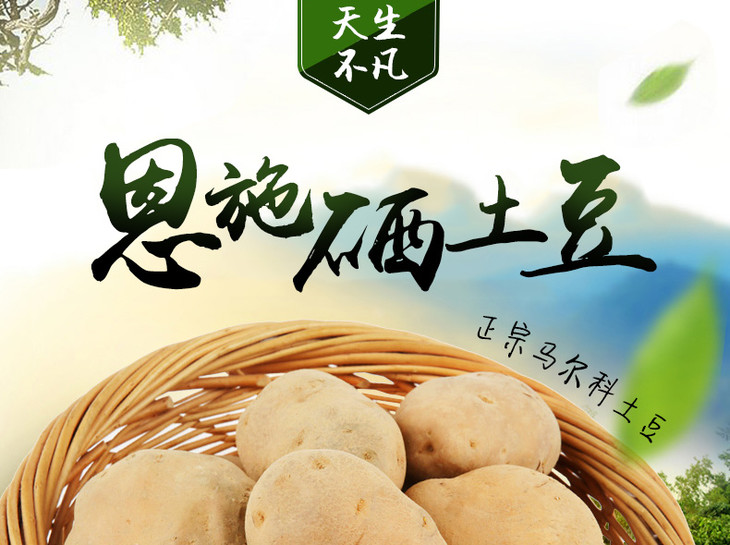 暂售罄爱心消费助农供冠恩施马尔科硒土豆5斤