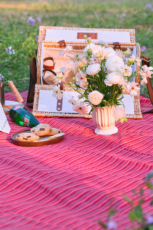 野餐垫户外地垫防潮垫经典几何图形野餐垫 商品图3