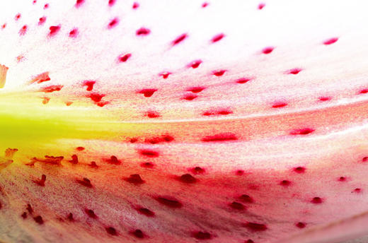 偶然的惊喜 商品图0