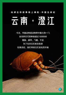 中国生命纪·澄江 DAY.2