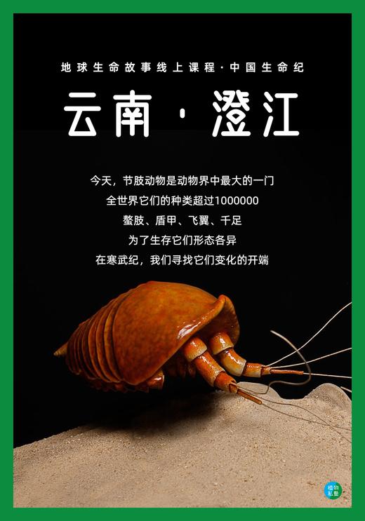 中国生命纪·澄江 DAY.2 商品图0