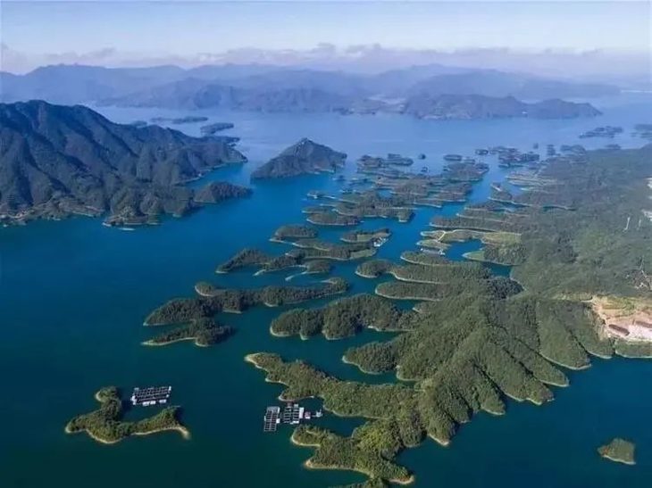 还有孔雀开屏,随处可见惊喜 千岛湖碧波万顷,四周群山叠翠 峡谷幽深