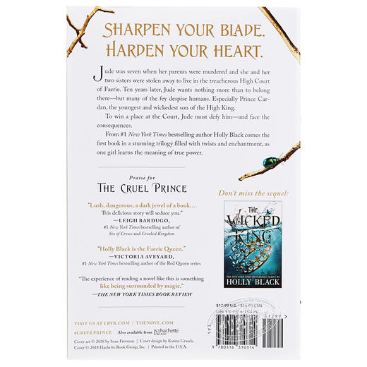 【中商原版】残酷的王子 英文原版 The Folk of the Air #1:The Cruel Prince 商品图1