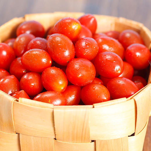 赤霞珠番茄图片