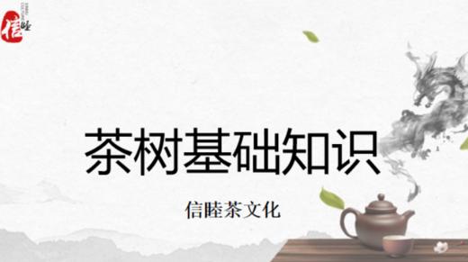第1节课-茶树基础知识 商品图0