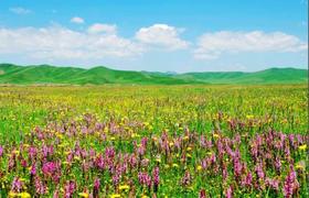 夏季必备，教你如何选牛仔短裤