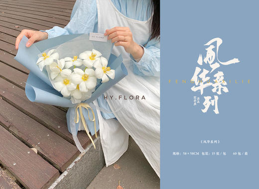 风华系列 商品图2