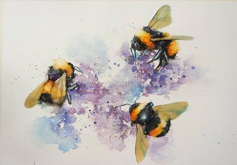 【温莎牛顿】RVS固体水彩初学者套装 商品图0