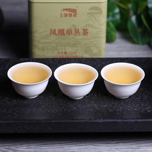 七彩八仙 商品图3