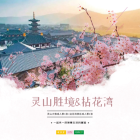 自由行 | 春游正当时！灵山胜景&拈花湾联票特惠来袭！一起去看看禅意山水的拈花湾 在湖光净洒的灵山胜境 祈福祷告