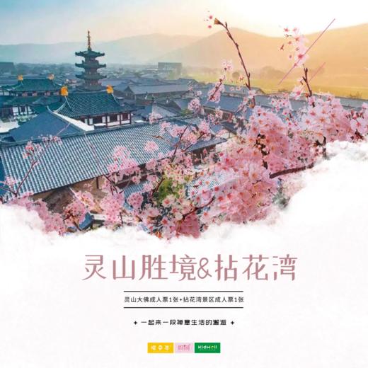 自由行 | 春游正当时！灵山胜景&拈花湾联票特惠来袭！一起去看看禅意山水的拈花湾 在湖光净洒的灵山胜境 祈福祷告 商品图0