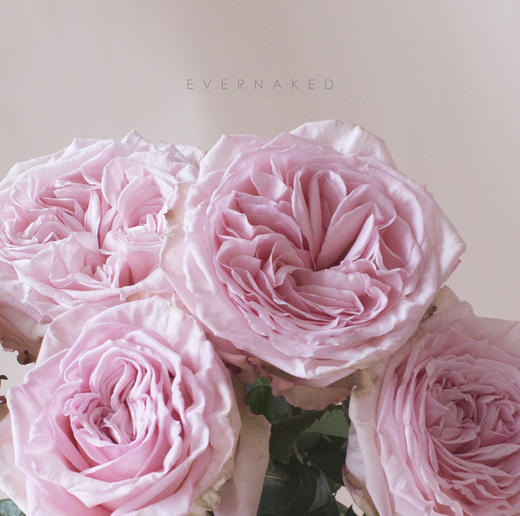 「单品花材」荔枝玫瑰粉色 商品图1