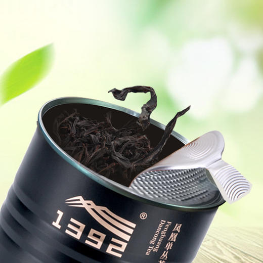 凤凰展翅茶米罐黑 商品图3