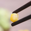 有机速冻甜玉米粒260g 商品缩略图1