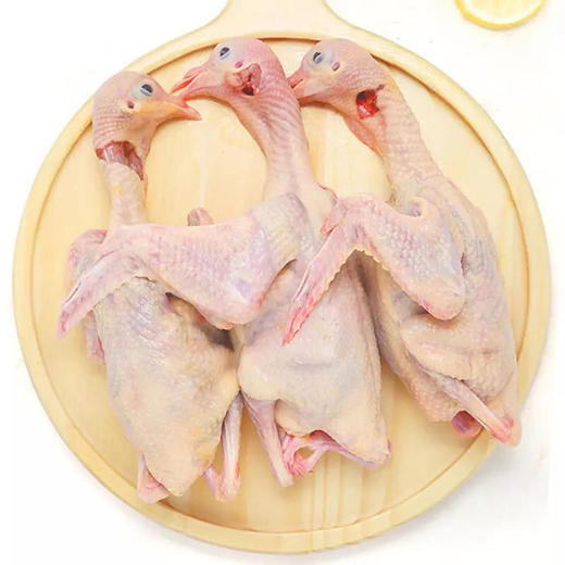 新桥高鹏 乳鸽 1只36 3只102 商品图1