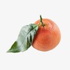 塞维利亚橙 商品缩略图0