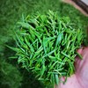 【2026年新茶】都匀毛尖绿茶 匀城春尊品绿茶 条装120g 商品缩略图3