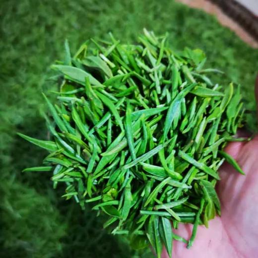 【2026年新茶】都匀毛尖绿茶 匀城春尊品绿茶 条装120g 商品图3