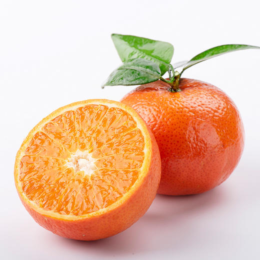 莎斯塔金柑橘 引进美国品种 果味浓郁 纯甜多汁 4.5斤装
