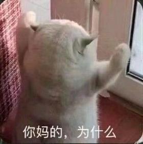 是的哦，我在测试