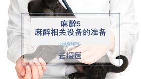 麻醉学系列课程5