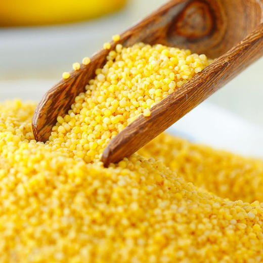 康东【田也杂粮】红谷子小米月子米,宝宝米 5斤