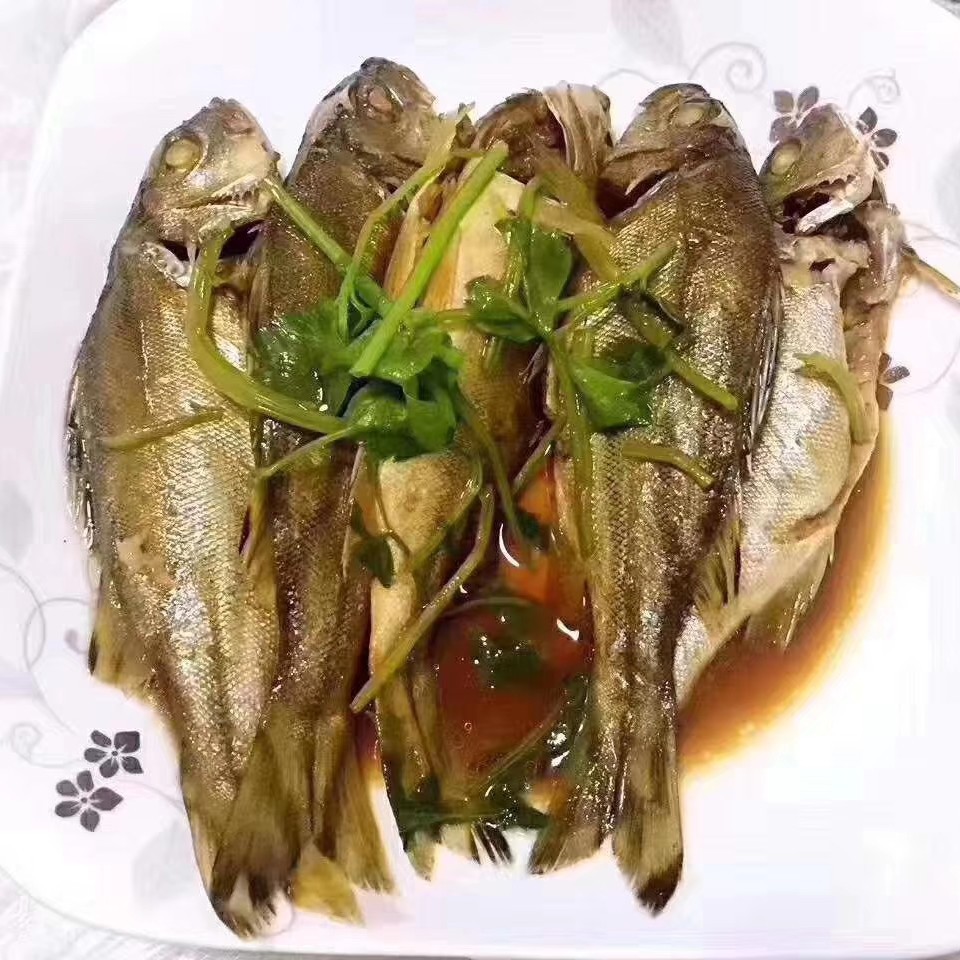 野生三线鱼也叫斑猪鱼是潮汕地区著名的好鱼营养价值高当天现捕现发杀