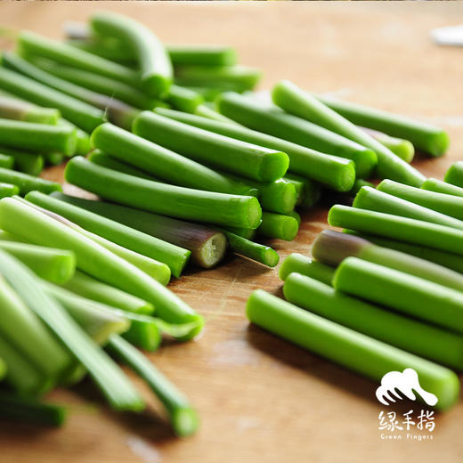 生态山东蒜薹/蒜苔（赠送半斤/1斤） | 合作生产*Eco-young garlic shoot | Coproduction 商品图2