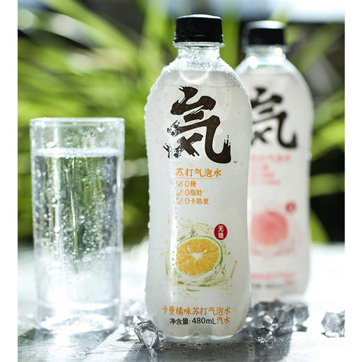 中国元气森林苏打气泡水系列480ml