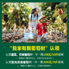 源东-葡萄树认领 商品缩略图2