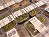 【泰式鸡爪】 商品缩略图3