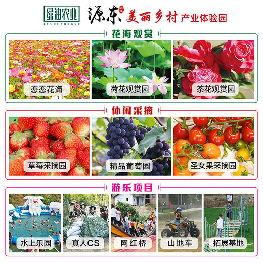 源东-网红桥门票 商品图4