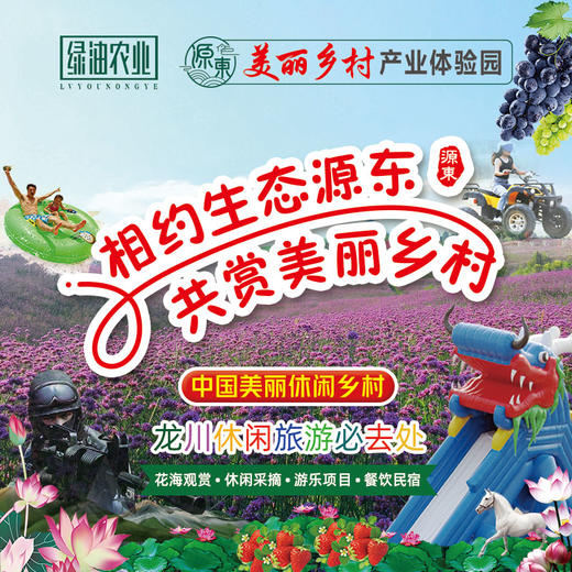 源东-风情民宿 商品图4